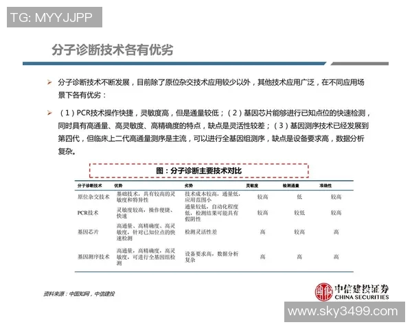 重庆足球队中路突破分析：优劣势与战术调整的深度探讨